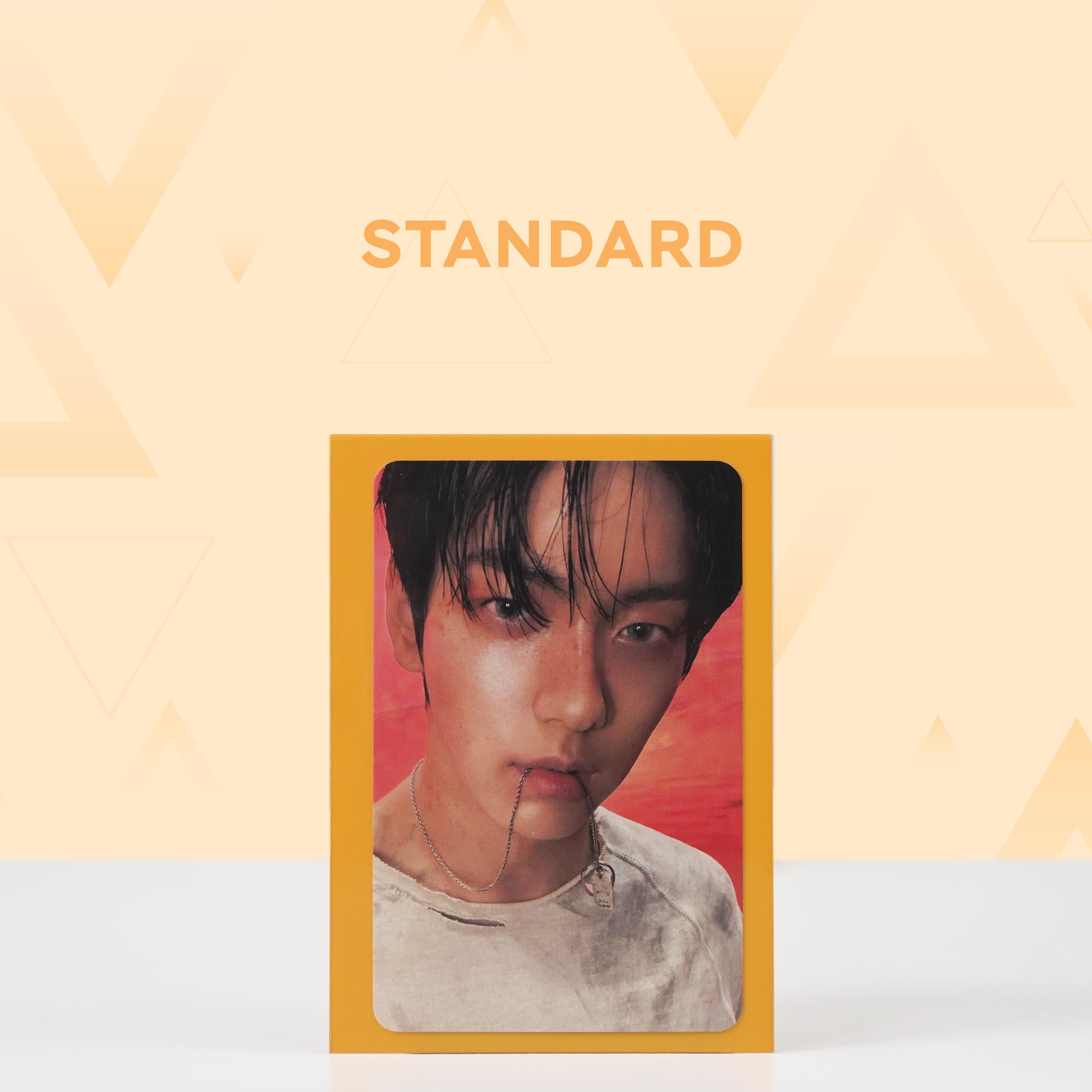 Premium+ Photocard Sleeves - Standard - Coloured