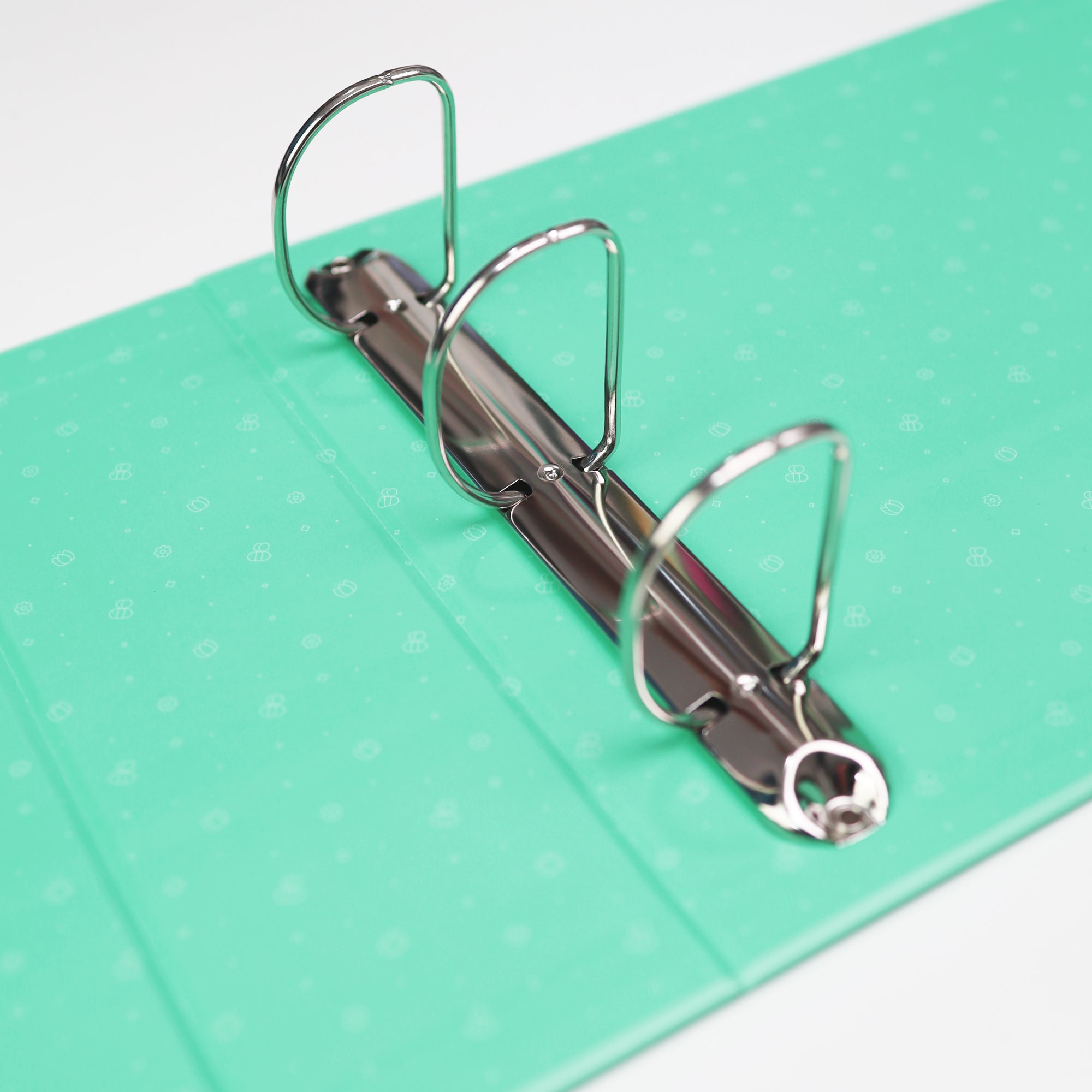 Spring - Deluxe Wide - A5 myCOLLECTION Binder